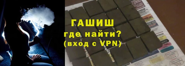 шишки Бородино