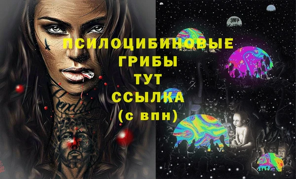 соль ск Богородицк