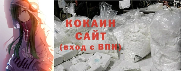 соль ск Богородицк
