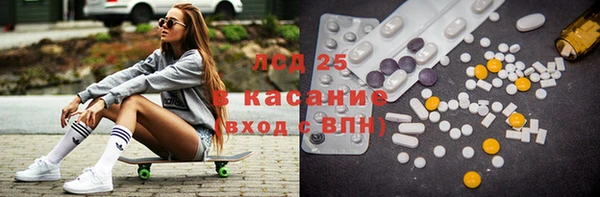 гашиш Богданович