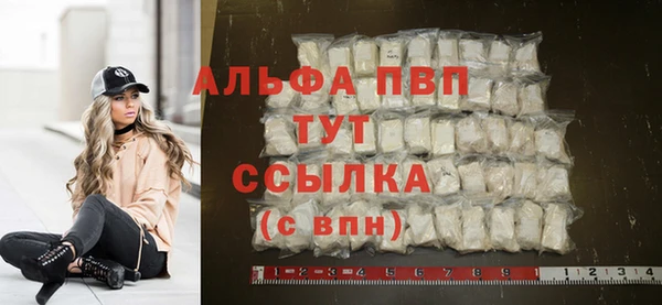 гашиш Богданович