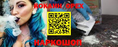крисы Новокубанск