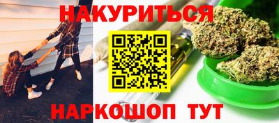 крисы Новокубанск