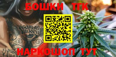 крисы Новокубанск