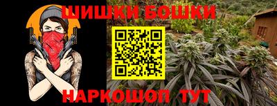 крисы Новокубанск