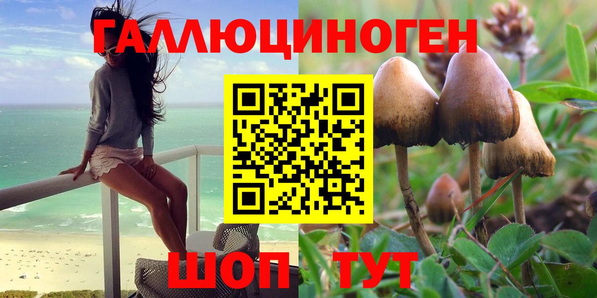 Галлюциногенные грибы мухоморы Улан-Удэ